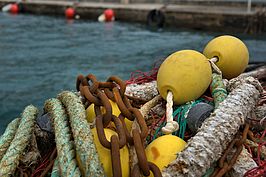 DSC03596 -1_t.jpg